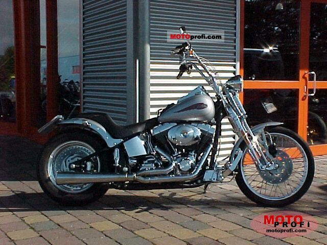 Harley-Davidson Softail Springer 2001 photo