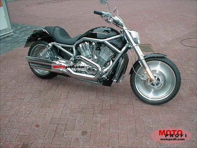 Harley-Davidson VRSCA V-Rod 2005 photo