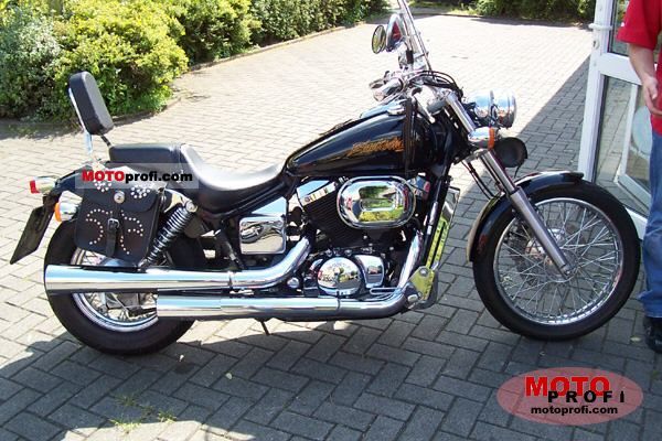 Honda vt750dc outlet black widow