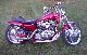 Harley-Davidson 1200 Sportster Custom 1998 photo 1