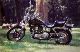 Harley-Davidson Dyna Wide Glide 1998 photo 1