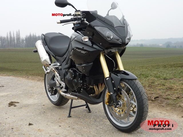 Triumph Tiger 2009 photo